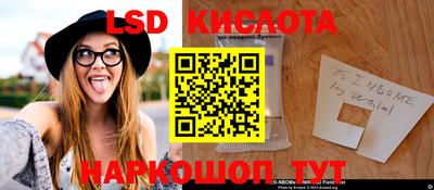 шишки Новодвинск