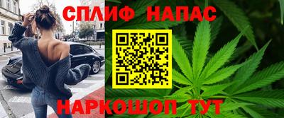 шишки Новодвинск