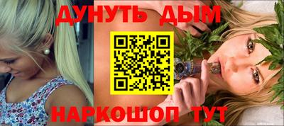 шишки Новодвинск