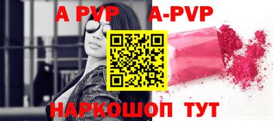 шишки Новодвинск