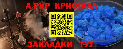 шишки Новодвинск