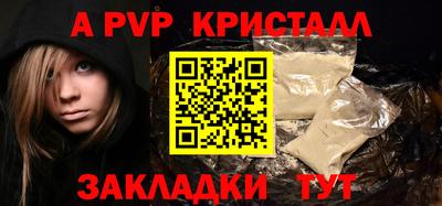 шишки Новодвинск