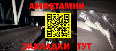 шишки Новодвинск