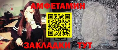 шишки Новодвинск