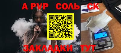 шишки Новодвинск