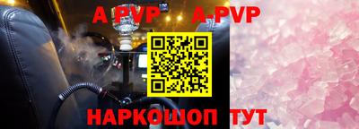 шишки Новодвинск