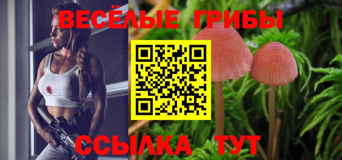 наркота  Вход с VPN  Туапсе  Псилоцибиновые грибы Magic Shrooms  Псилоцибиновые грибы Cubensis 