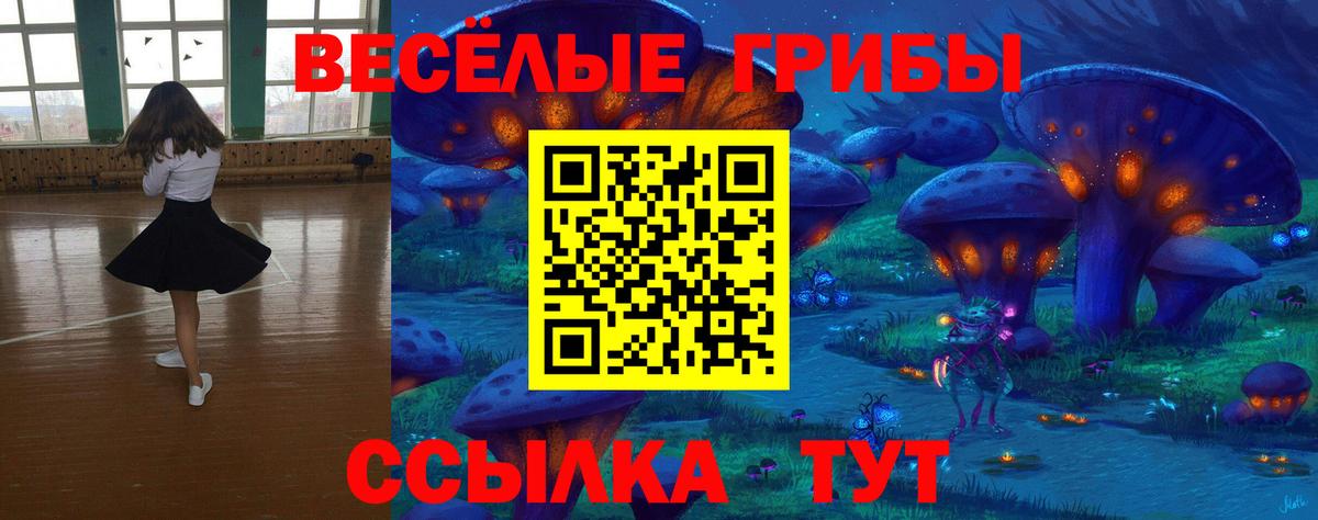 Псилоцибиновые грибы MAGIC MUSHROOMS Туапсе